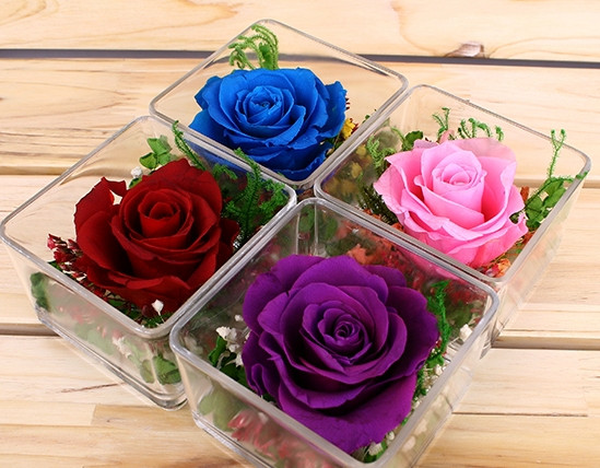 Hộp, bình thủy tinh cùng 1-2 bông hồng vĩnh cửu có giá từ 250.000 - 300.000 đồng.