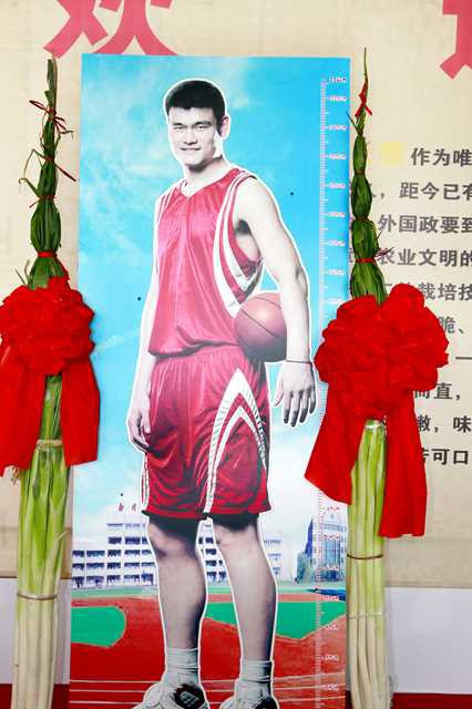 Mỗi cây hành lá khổng lồ này có trọng lượng 0,5-1,5 kg. Ảnh: Dayday News.