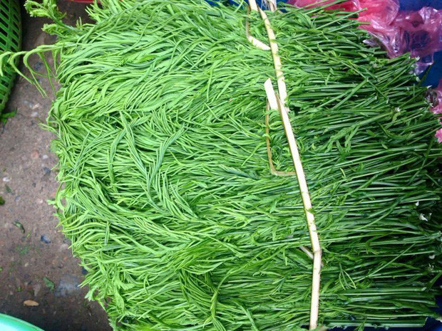 Rau thối là đặc sản của Tây Bắc, dù bốc mùi nồng nặc nhưng khi chế biến lại trở thành món ăn hấp dẫn như nấu canh, xào tỏi, chiên với trứng hoặc làm nộm.