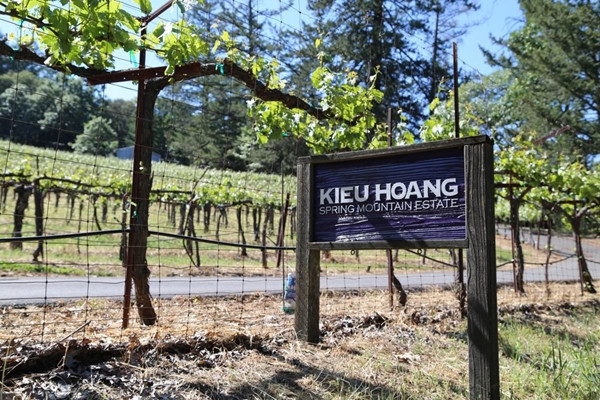 Tỷ phú Hoàng Kiều đã mua lại trang trại nho này từ gia đình Michael Mondavi – một gia đình nổi tiếng với nghề làm rượu nho tại Mỹ. Ảnh: Plo