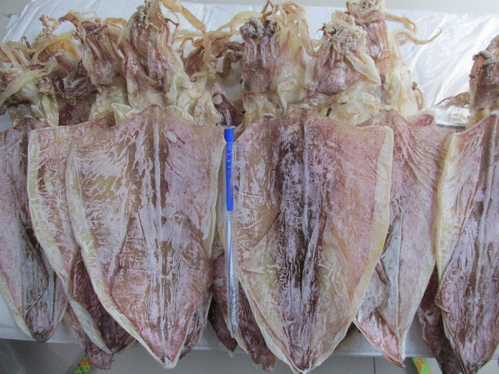 Tốt nhất nên chọn mực mới phơi. Loại này thường có độ ẩm nhất định, ngửi còn mùi nồng muối biển và thân mực ánh màu vàng sáng. Nguồn ảnh: Facebook