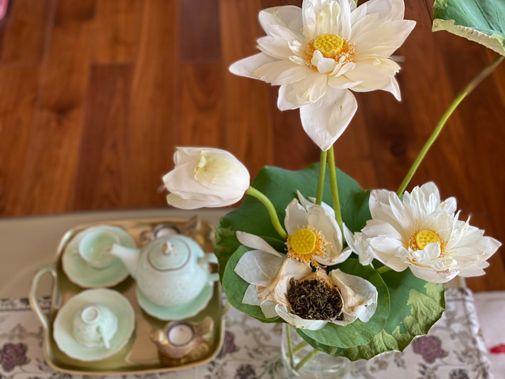 Hoa sen được người đẹp hái từ hồ sen trong nhà.