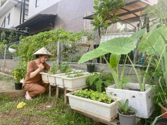 Trong thời gian nghỉ dịch, ngoài năng nổ với các hoạt động từ thiện, Nhật Kim Anh còn thừa nhận mình là "nông dân" khi tự tay nhổ cỏ, bắt sâu cho vườn rau.