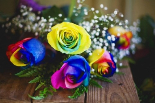 Hồng rainbow được nhuộm màu từng cánh cầu kỳ có giá khoảng 1,2 triệu đồng/bông. Ảnh: Baoquocte.