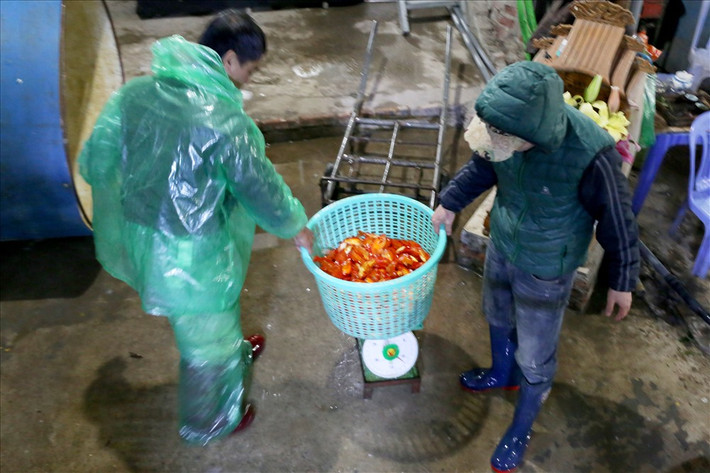 Để phục vụ người dân tiễn Táo quân về trời, mỗi ngày các tiểu thương chợ cá Yên Sở nhập hàng tấn cá chép đủ loại.