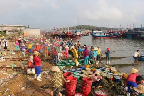 Ra khơi trong những ngày đầu năm mới Mậu Tuất 2018, ngư dân trên khắp cả nước phấn khởi vì trúng "lộc biển" đầu xuân. Ảnh: Congan.