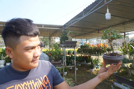 Một thanh niên thích thú với các loại cây bonsai ở hội hoa xuân Quảng Nam năm 2018.