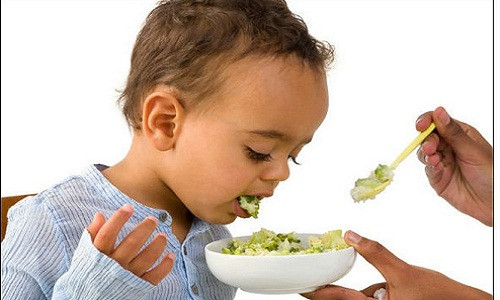 Hầu hết trẻ em rất kén chọn khi ăn và từ chối ăn bất cứ thứ gì lành mạnh vì chúng không ngon. Vì vậy, với tư cách là cha mẹ, chúng ta phải giám sát chặt chẽ thói quen ăn uống và đảm bảo con ăn đủ rau xanh, trái cây, rau quả và sữa để cơ thể của chúng đủ mạnh để chống lại sự phát triển của tế bào ung thư.