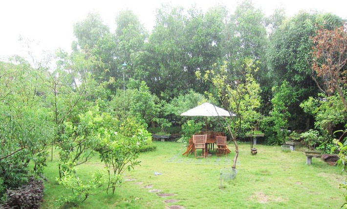 Cây xanh rợp mát bao bọc quanh biệt thự vườn. Đây cũng là khu vực nghỉ ngơi, uống trà của các thành viên trong gia đình.
