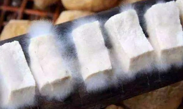 Hơn nữa, chúng lại có hương vị khá ngon miệng và được người dân tỉnh An Huy (Trung Quốc) sử dụng nhiều để chế biến thành các món ăn hấp dẫn nổi tiếng như món đậu phụ om thịt và đậu phụ chiên giòn. Ảnh: China Discovery