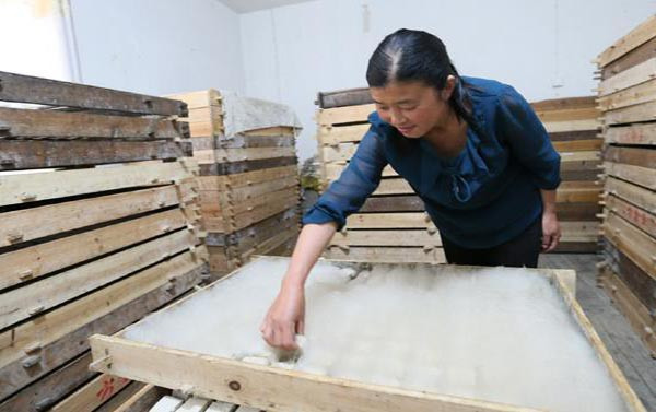Quy trình sản xuất đậu phụ mọc lông cũng khá tỉ mỉ. Người ta sẽ cấy nấm mốc vào các miếng đậu sau đó phơi chúng ở ngoài trời trong khu vực lạnh và khô với nhiệt độ dao động khoảng từ 15 - 23 độ C. Ảnh: China Discovery