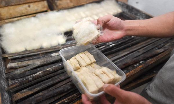 Tuy nhiên, trên thực tế, các lớp lông mọc ngoài bề mặt đậu phụ cũng an toàn và không gây bất cứ tác hại xấu nào cho cơ thể. Ảnh: China Discovery