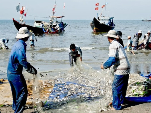 Nghề đi biển của các ngư dân cũng nằm trong danh sách công việc nguy hiểm nhất Việt Nam. Họ phải làm việc nhiều giờ mỗi ngày, thậm chí cả ban đêm và không có thời gian nghỉ. Ảnh: Vietnamnet