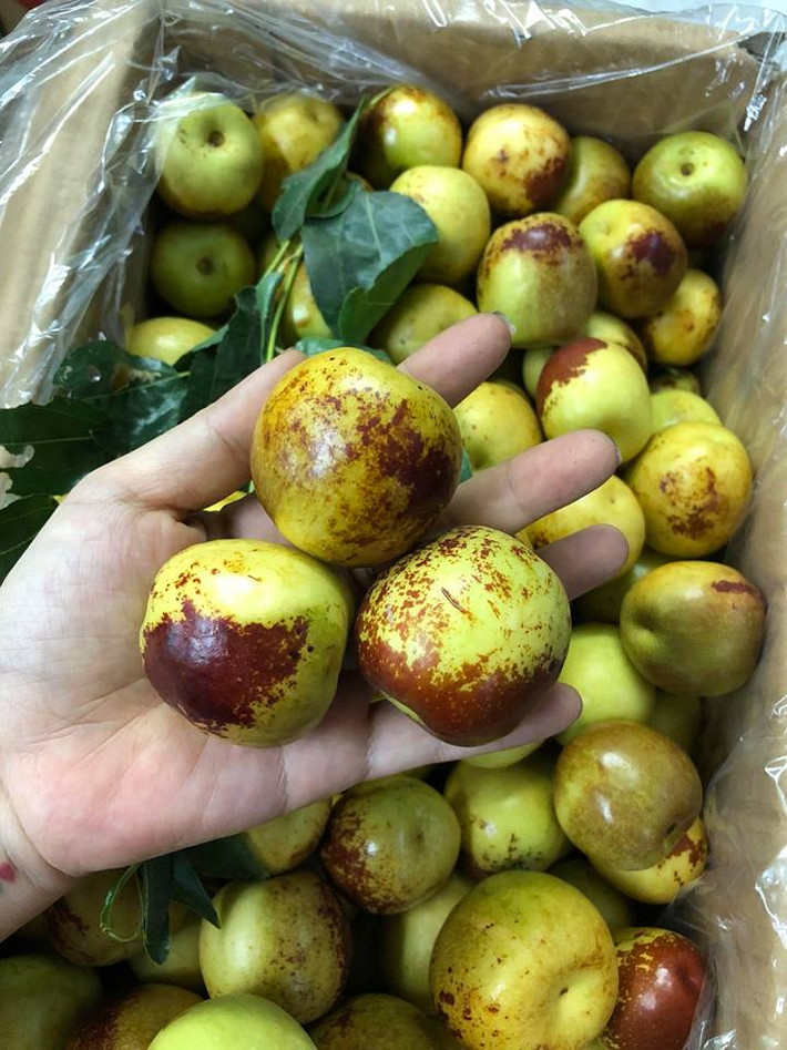 Khi chín, hồng táo chuyển sang màu thâm xỉn nâu cánh gián khiến nhiều người nhầm tưởng là quả bị thối hỏng. Ảnh: Hoaquauudam