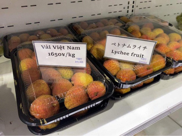 Hiện tại, giá bình quân vải thiều tại Lục Ngạn (Bắc Giang) là 20.000 - 27.000 đồng/kg, có nơi bán 35.000 đồng/kg. Như vậy, giá vải thiều sang Nhật Bản cao gấp 10 lần. Ảnh: Tiền phong.