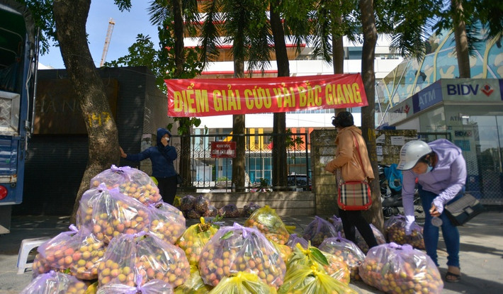 Những ngày qua, việc tiêu thụ vải thiều Bắc Giang gặp nhiều khó khăn. Do đó một số điểm giải cứu vải thiều Bắc Giang bắt đầu xuất hiện ở Hà Nội.
