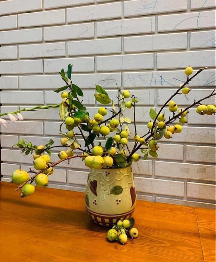 Năm ngoái, những cành táo mèo tươi, quả chín vàng ươm bắt mắt cũng được nhiều chị em mua về cắm trong phòng cho mới lạ, sinh động. Ảnh: Vietnamnet