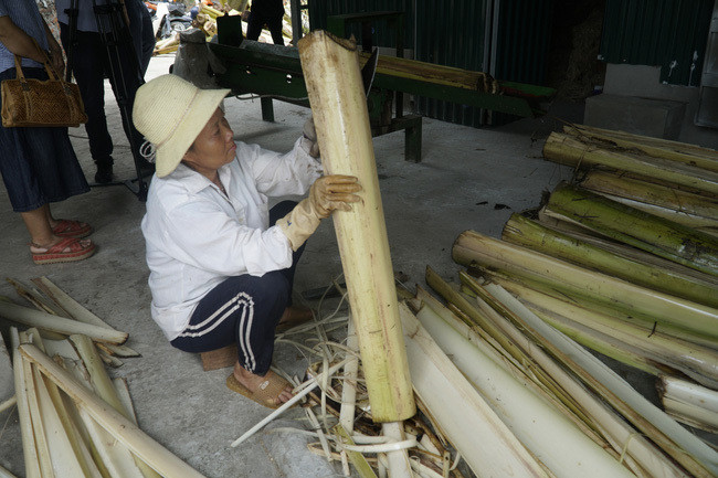 Một cơ sở làng nghề ở Thạnh Tân (Bến Tre) tiết lộ mỗi năm xuất khẩu hàng nghìn tấn xơ dừa thô đóng kiện với giá 170 USD/tấn (khoảng gần 4 triệu đồng). Ảnh: Vietnamnet