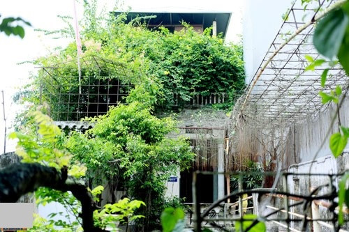 Diễn viên hài nổi tiếng Giang Còi (tên thật là Lê Hồng Giang) có cơ ngơi rộng lớn ở ngoại thành Hà Nội, tại đây, nghệ sĩ trồng rau, nuôi gà, thả cá... sống một cuộc sống gần gũi thiên nhiên.