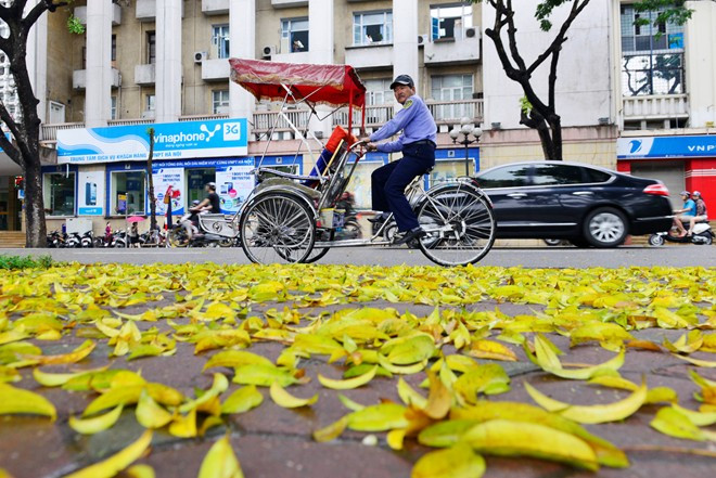 Cảnh tượng khác lạ khiến lòng người xôn xao. Ai đi qua cũng phải ngó nhìn, ngắm nghía.