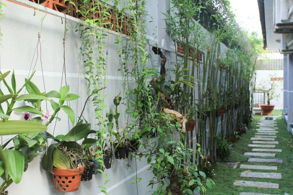 Quanh biệt thự trị giá triệu đô này là những hàng cây và cỏ xanh mướt.