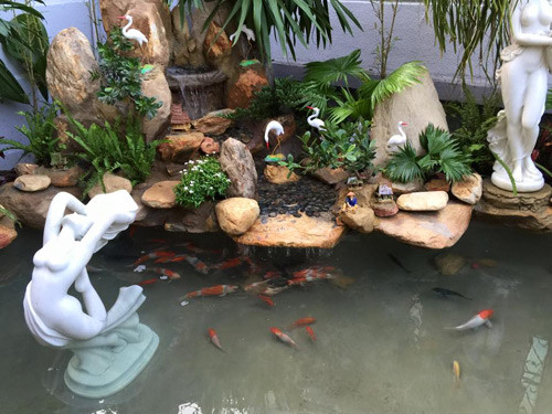 Cây xanh, tượng, đá... được chọn xếp quanh ao cá, tạo sự tự nhiên cho tiểu cảnh.