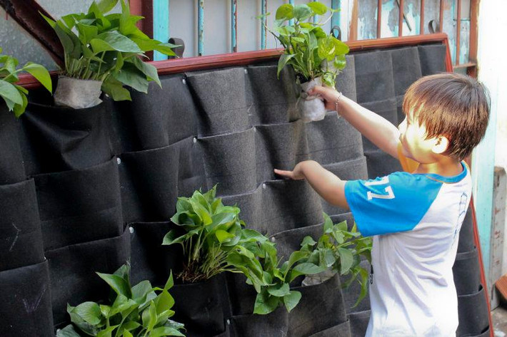 Theo chị Hoài Anh (chủ shop dụng cụ trồng rau tại Kim Giang, Hoàng Mai): "Đối với túi vải treo cần kiểm tra độ thấm nước của vải. Ngoài ra, nhược điểm của dụng cụ này là có thể rơi rớt đất, nước ra nhà nếu không cẩn thận. Thời gian dùng túi vải không được bền bằng dụng cụ khác, song túi nhẹ nhàng, trang trí ban công, góc sân vườn rất tiện".