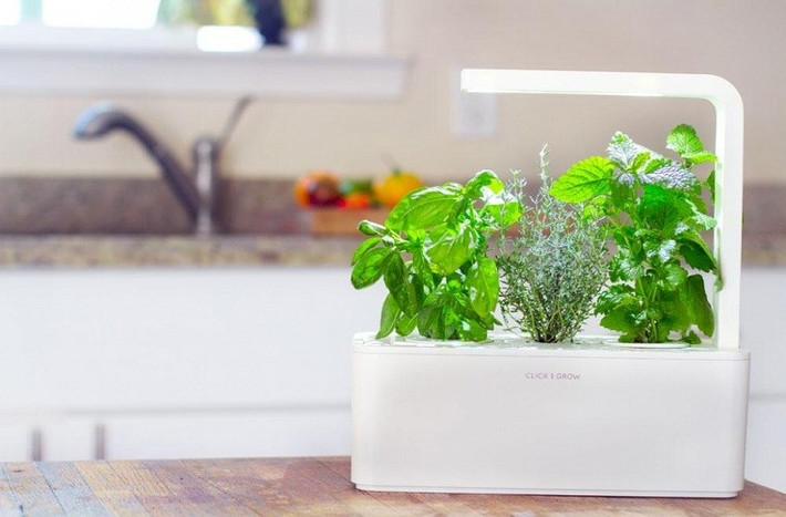 Có giá khá đắt đỏ, gần 90 USD (khoảng 1,8 triệu), thiết bị trồng rau tự động được một số shop đồ dùng thông minh nhận đặt hàng từ nước ngoài về.