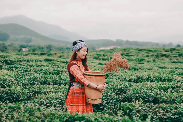 Tuy nhiên, sự thật thì Trang không phải chủ nhân thực sự của sạp mũ, cô bạn chỉ bán hàng giúp người thân trong lần lên Sapa chơi.