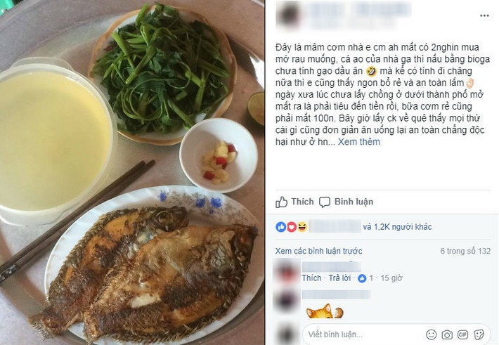 Lý giải cho mâm cơm 2000 đồng gây tranh cãi, Anh Hà viết: "Đây là mâm cơm nhà em các mẹ ạ, mất có 2.000 mua mớ rau muống. Cá ao của nhà, ga thì nấu bằng bioga. Cô nàng cho hay, nếu chưa tính gạo, dầu ăn, mà kể có tính đi chăng nữa thì vẫn thấy ngon, bổ, rẻ.