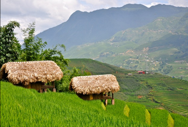 Hmong moutain Sapa cũng đang là nơi trú chân được nhiều "vote" của giới trẻ. Đây là nơi dành cho những ai muốn trốn thị thành ồn ào, ngột ngạt để vui với thiên nhiên. Ảnh: Tripadvisor
