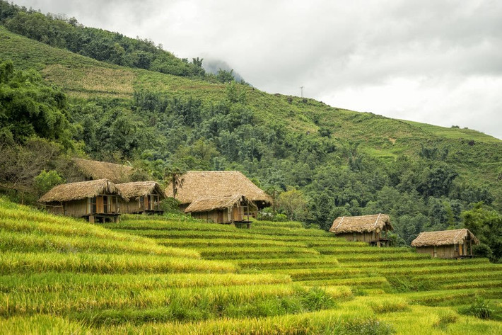 Được mệnh danh là homestay "mỗi m2 chụp trăm ảnh đẹp" ở Lao Chải, SaPa, Eco Palm House gồm nhiều Bungalow đặt giữa những thửa ruộng bậc thang đang là điểm đến "hot" dạo gần đây. Ảnh: TripAdvisor