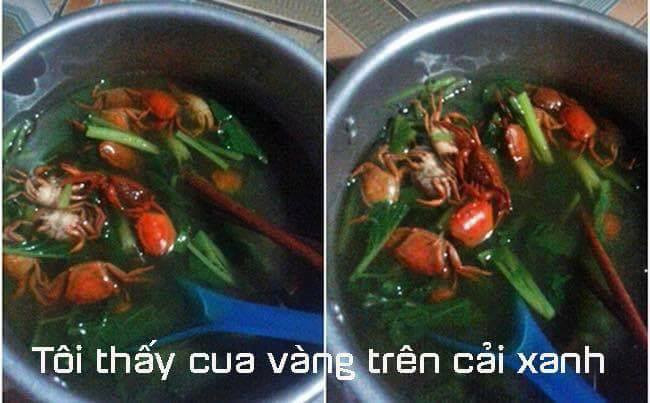 Một bát canh cua nằm ngoài trí tưởng tượng và bất cứ công thức nấu ăn nào.