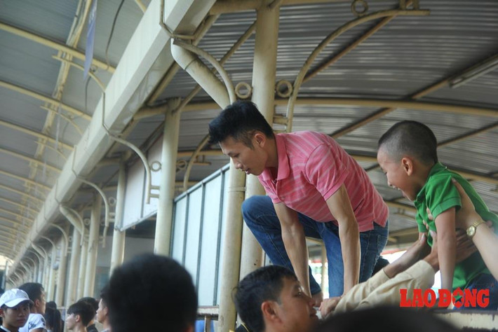 Tại bến xe Mỹ Đình, hình ảnh xấu xí của không ít người trèo lên hàng rào để vào bến đã được PV ghi lại. Ảnh: Lao động.