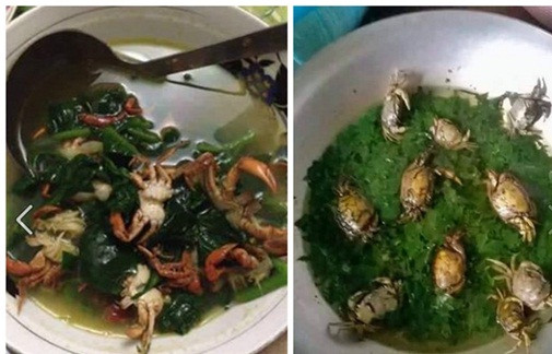 Thực chất đây không phải trường hợp vợ nấu ăn vụng về duy nhất xuất hiện trên Facebook. Trước đó, có rất nhiều cô vợ trẻ khác cũng khoe những "chiến tích" nấu nướng tương tự như vậy. Canh cua nguyên con có lẽ là thử thách lớn nhất cho các ông chồng khi vợ mang món ăn có 1-0-2 này lên bàn ăn.