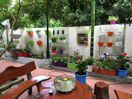 Để không gian vườn thêm phần rực rỡ hơn, chị Điệp chọn những chậu hoa nhiều màu sắc để trồng. Thậm chí, chị còn thiết kế kệ giáp tường để đặt các chậu hoa theo tầng. Những cây tán rộng, cây ăn quả lâu năm chị tận dụng cành để lấy chỗ treo giỏ hoa lan, vừa đẹp lại vừa tiện lợi, không mất công thiết kế khung treo.