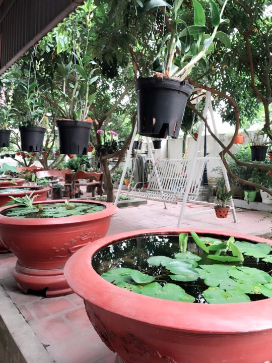 “Mình là người lên ý tưởng và sắp xếp không gian xanh trong khu vườn nhà mình, dưới sợ hỗ trợ đắc lực của ông xã. Những việc nặng như bê chậu đặt bố trí các địa điểm, lấy đất trồng cây hay làm dây để treo giỏ đều ông xã mình phụ giúp. Khu vườn này không chỉ thỏa mãn đam mê của mình mà còn là chỗ vui chơi cho các con và cũng là nơi giải trí của gia đình mình”, chị Điệp chia sẻ.