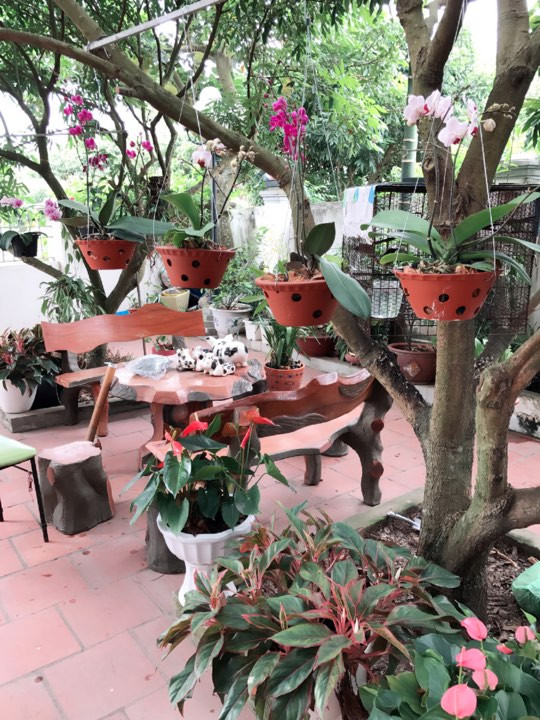 Từng góc nhỏ trong sân nhà được chị chăm chút cẩn thận.