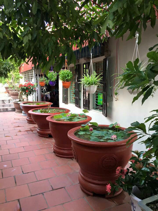 “Vườn nhà mình rộng nên bên hông nhà, mình muốn tạo ra không gian thật đẹp với nhiều loại hoa. Mình mê hoa và nghiện hoa lắm. Có những thời điểm, mình nghiện hoa đến nỗi đi phiên chợ hoa lần nào là hết cả chục triệu lần đó.