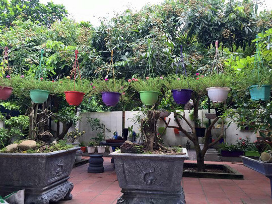 Yêu thiên nhiên và luôn ước mơ có khoảng không gian, sân vườn đẹp nên chị đã quyết định bắt tay vào xây dựng vườn hoa của riêng mình.