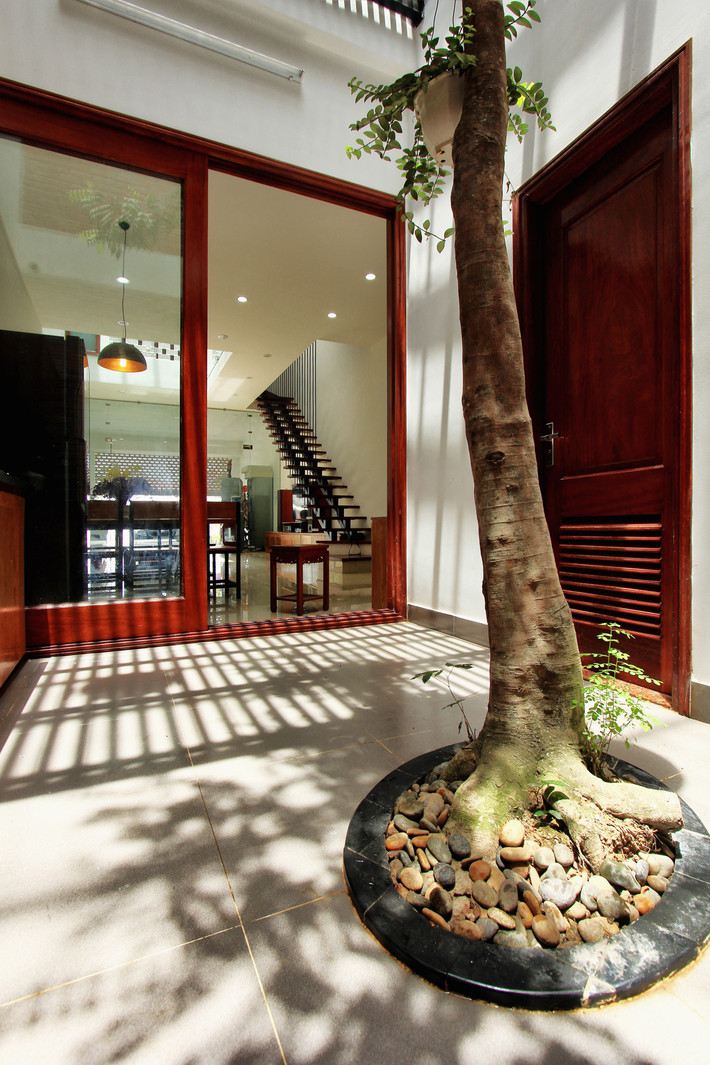 Trước nhà là màu xanh của thiên nhiên.