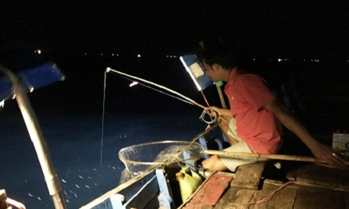 Hoàng hôn buông xuống là thời điểm những ngư dân ở thôn Thai Dương Hạ Trung chuẩn bị dụng cụ “săn” mực cơm trên những chiếc thuyền. Mỗi đêm, có hàng chục chiếc thuyền lớn nhỏ lênh đênh trên biển. Mùa mực cơm thường bắt đầu từ tháng giêng đến tháng tám âm lịch.