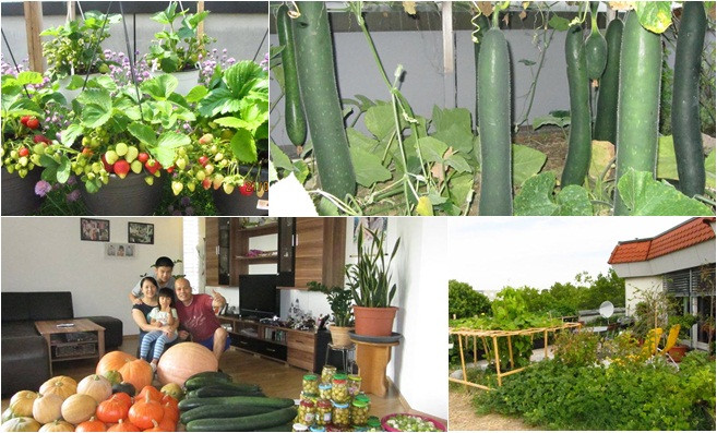 Anh Nguyễn Duy An sống cùng vợ và hai con trên tầng thượng một trung tâm thương mại tại thành phố Stuttgart của Đức. Bên cạnh công việc kinh doanh, anh An còn dành thời gian chăm sóc khu vườn rau xanh rộng 115 m2. Ảnh: Tamsugiadinh.