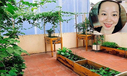 Chủ nhân của vườn rau sân thượng được thiết kế xanh - sạch - đẹp này là chị Phạm Ngọc, 25 tuổi, đến từ quận Gò Vấp, TP HCM. Hiện tại, chị Ngọc đang cùng ông xã làm tại công ty gia đình. Tuy mới chỉ bắt tay trồng rau từ tháng 2/2017 nhưng cho đến nay, sân thượng của gia đình chị đã được phủ xanh và quy hoạch rất gọn gàng.