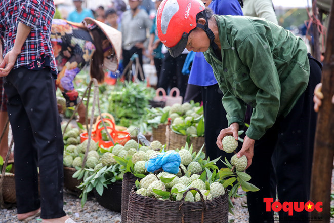 Không chỉ là món đặc sản địa phương, na Chi Lăng còn tạo được hiệu quả kinh tế đặc biệt giúp rất nhiều hộ dân ở đây thoát cảnh nghèo đói.