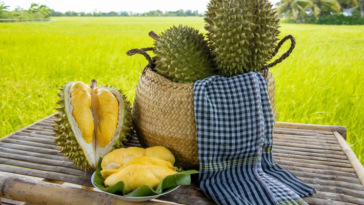 Tại các siêu thị Anh, sầu riêng Việt được bán với giá 14 Bảng/kg (khoảng 411.000 đồng/kg). Ảnh: Điện máy xanh
