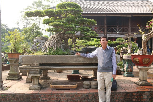 Năm 2011, một người bạn cùng chơi cây cảnh nghệ thuật ngỏ lời đổi hơn 5 sào đất với giá 9 tỷ đồng song ông Cường không bán. Ảnh: Dân trí