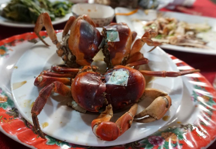 Cua đá là đặc sản nổi tiếng ở Cù Lao Chàm. Trước đây, loại hải sản này khá bình dân, nhưng nay số lượng khá hiếm nên giá đến cả triệu đồng/kg. Ảnh: Chamdiscovery