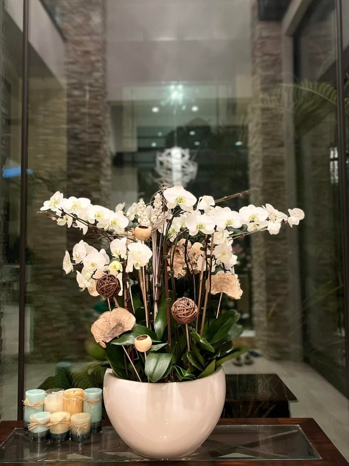 Nữ doanh nhân thích nhất hoa lan và thủy tiên.