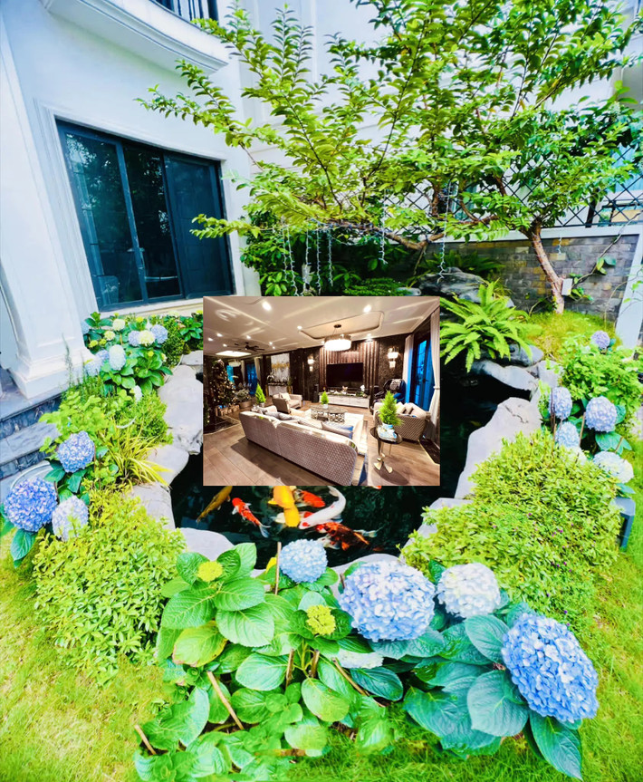 Trong khuôn viên sân vườn, người đẹp thiết kế một hồ cá Koi đẹp mắt.